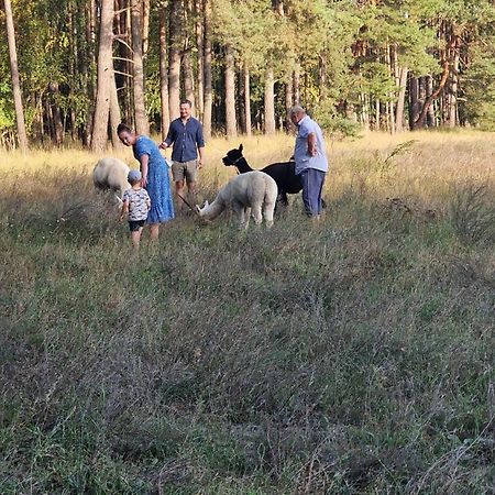 Ferienpark-Canow Zewnętrze zdjęcie