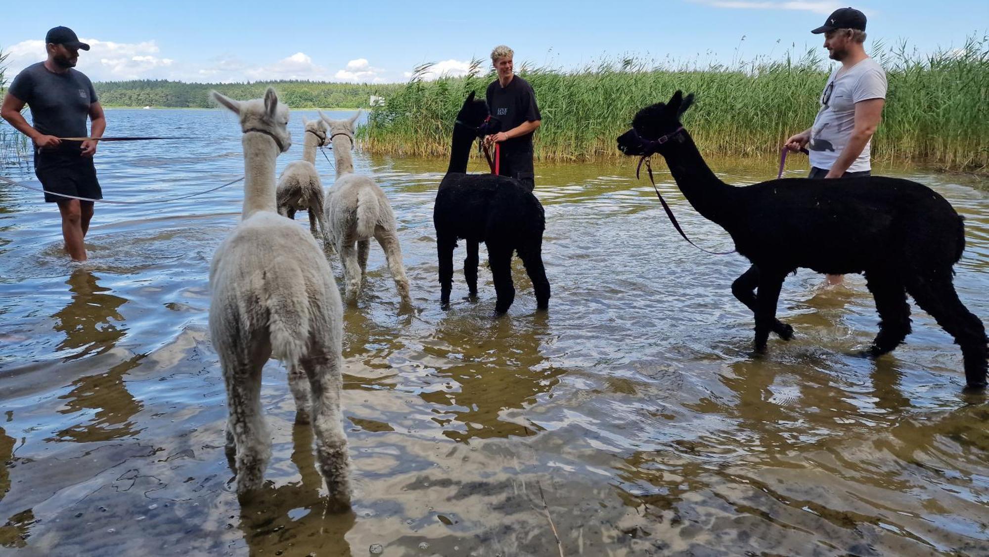 Ferienpark-Canow Zewnętrze zdjęcie