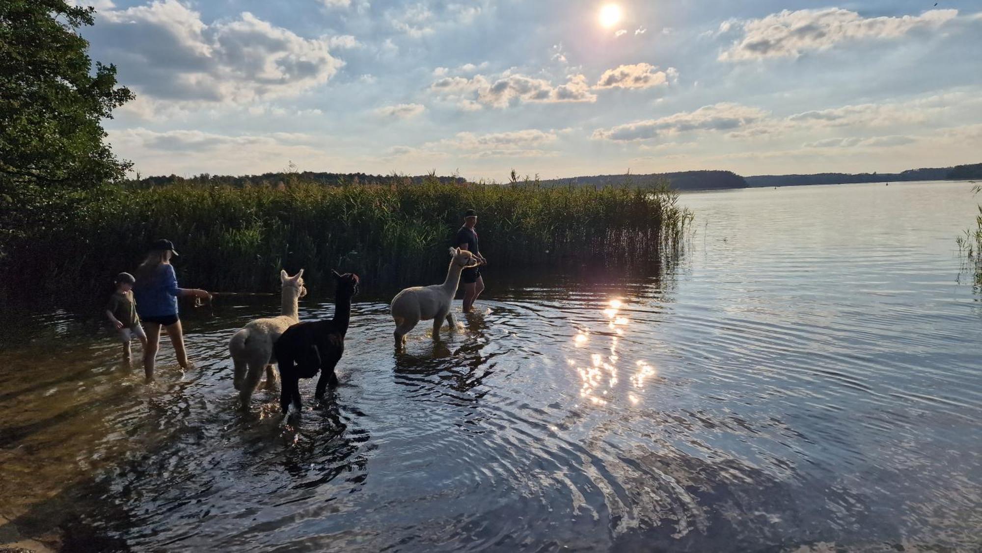 Ferienpark-Canow Zewnętrze zdjęcie