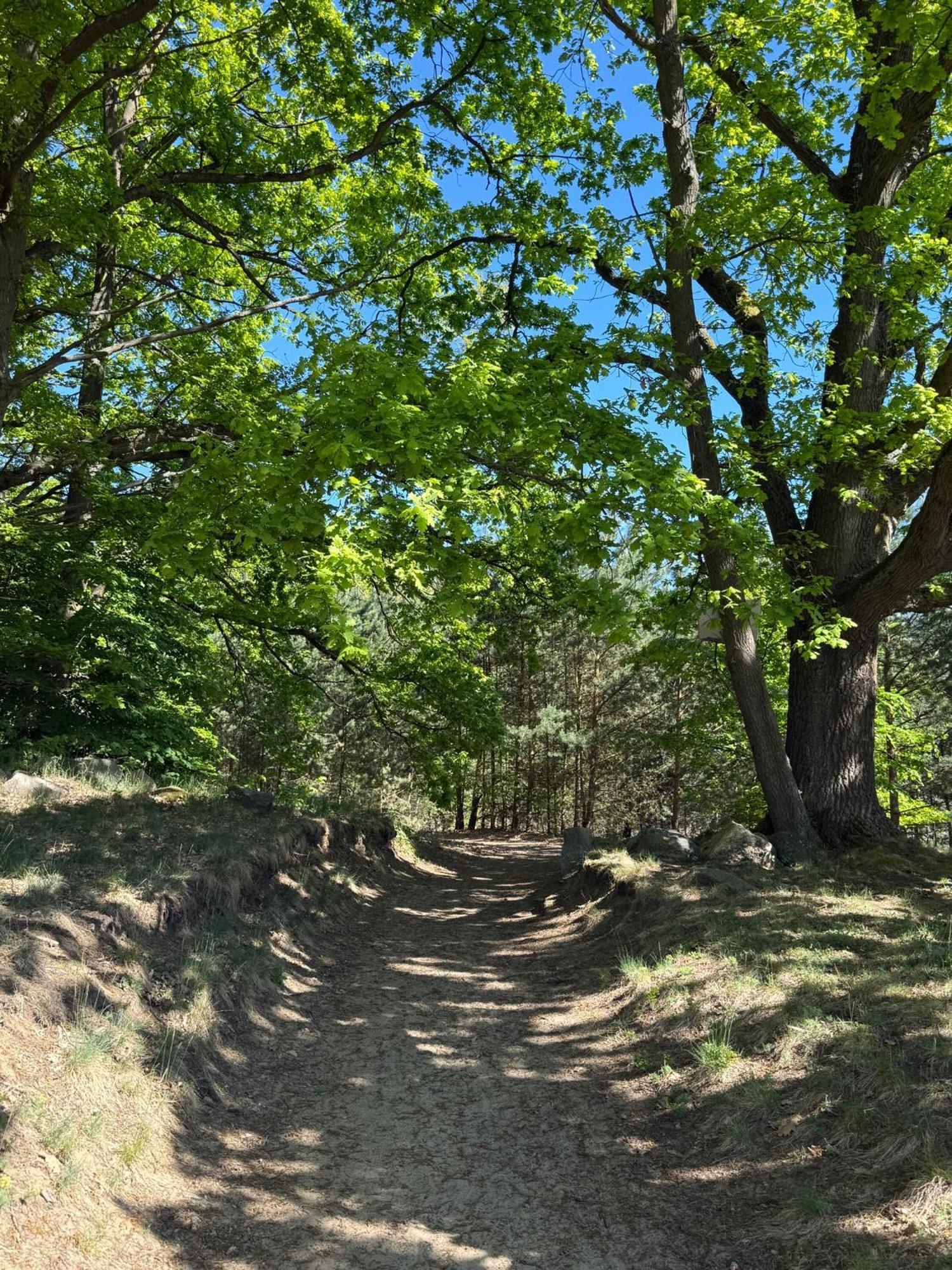 Ferienpark-Canow Zewnętrze zdjęcie